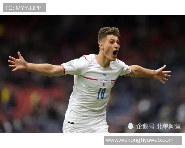 英媒报道卡拉菲奥里因髋部伤缺席下轮世预赛独自训练