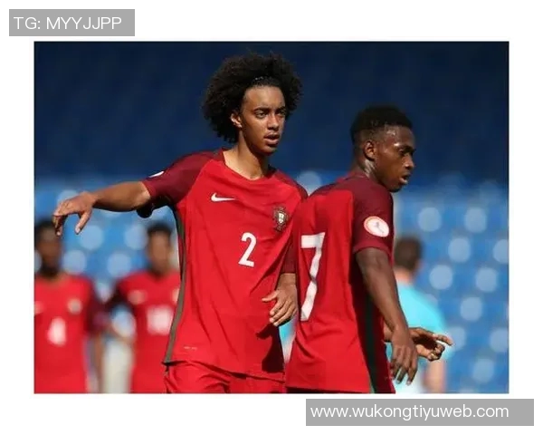 本菲卡计划冬窗出售施耶尔德鲁普目标转会费2500万欧元